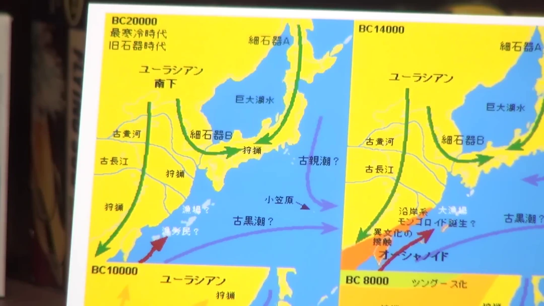 なぜトトロ一族は滅びたのか 日本列島そのものが変わってしまった 森が里山に変わり、神々は生きられなくなった