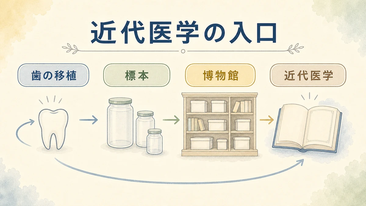 歯の移植や博物館が近代医学へつながる流れを示す図解